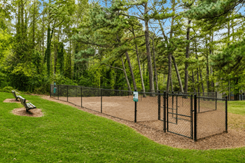 Dog park